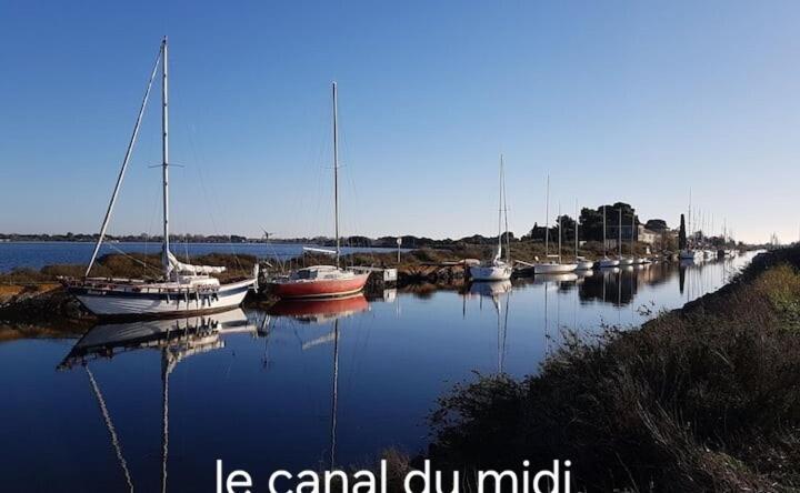 Le Corinthe - Appt Classe 3 Etoiles Et Climatise Marseillan (Herault) Exterior foto